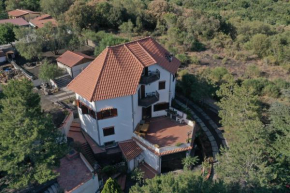 Villa joele